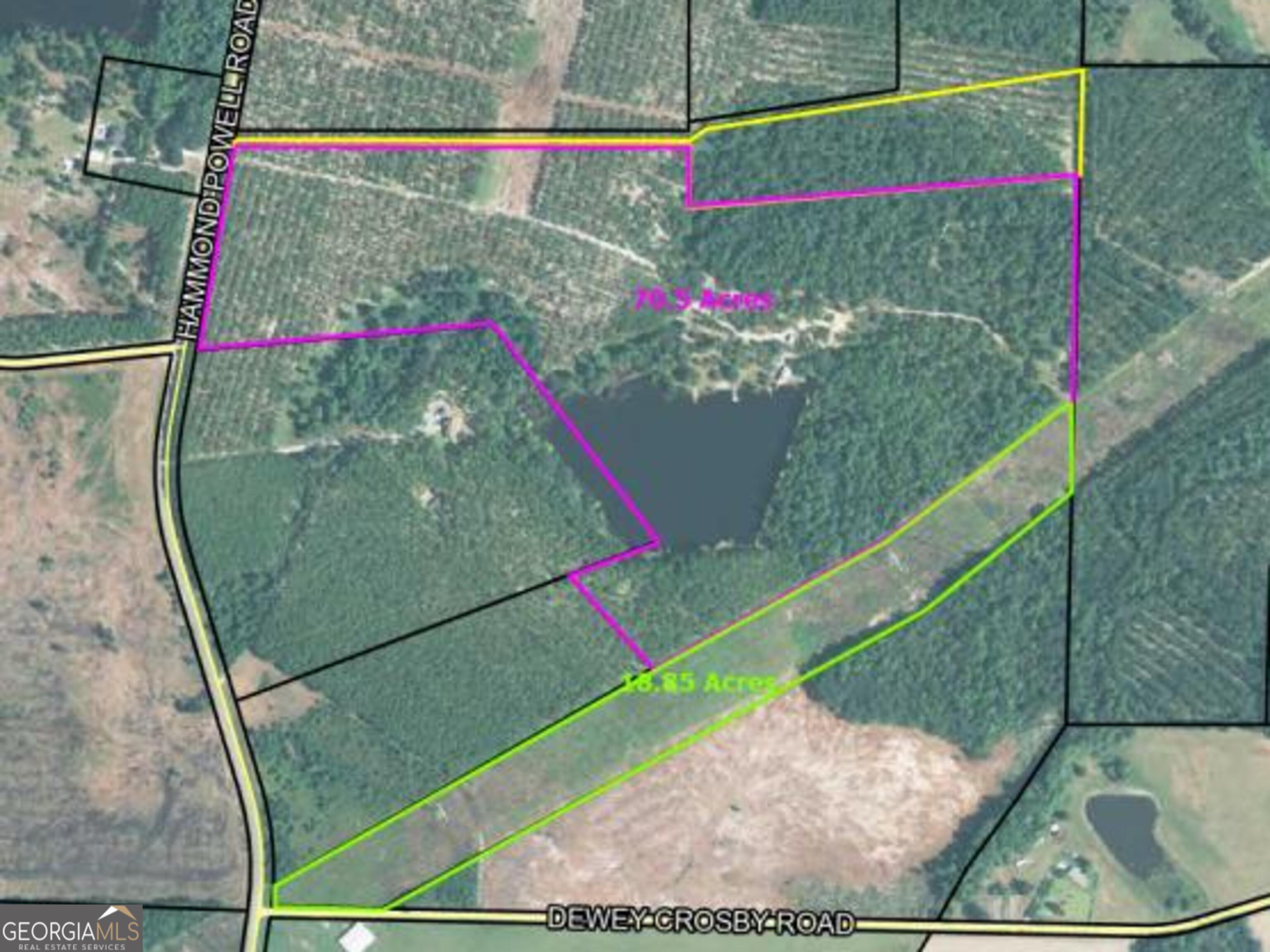 0 Hammond Powell Road Hazlehurst, GA 31539 - Photo 1 of 45 a view of a backyard