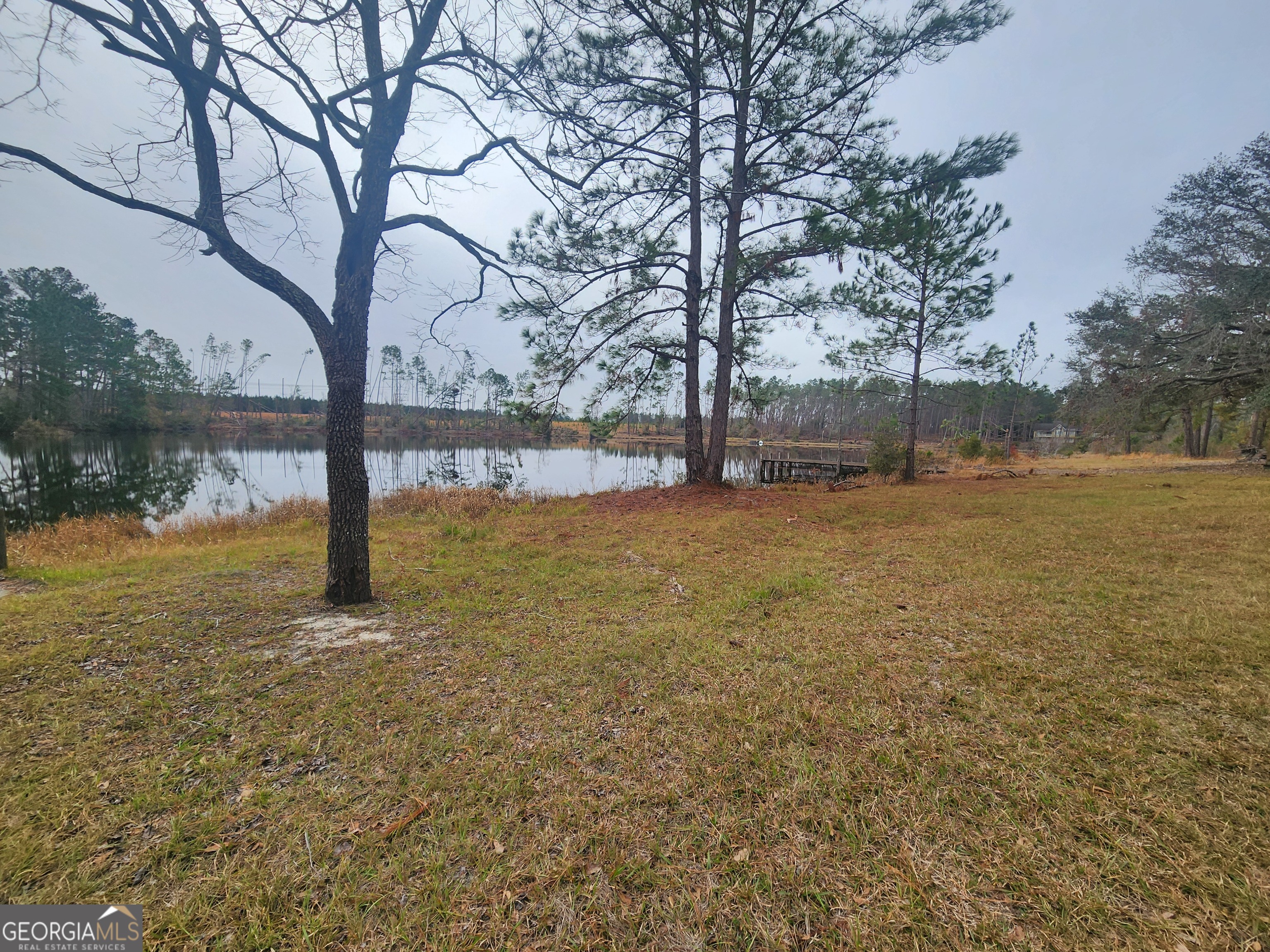 0 Hammond Powell Road Hazlehurst, GA 31539 - Photo 3 of 45 a view of yard with trees