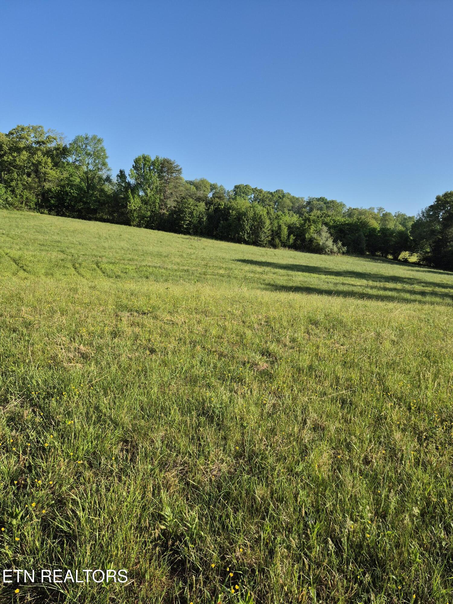 111 Povo Road Madisonville, TN 37354 - Photo 24 of 28 20260416_084719