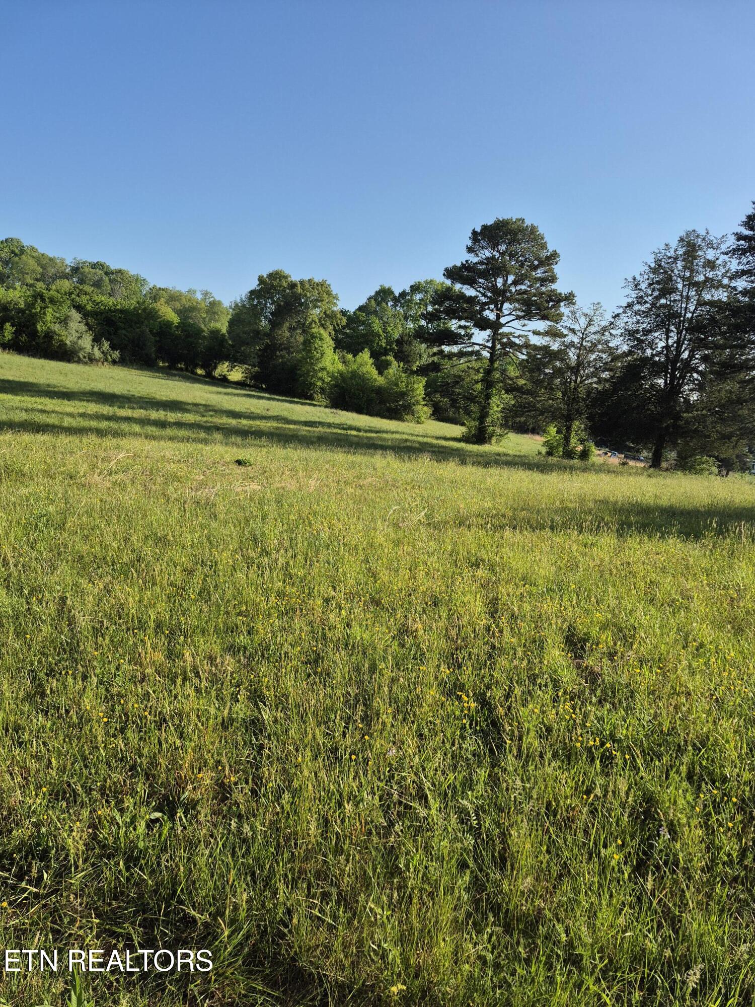 111 Povo Road Madisonville, TN 37354 - Photo 25 of 28 20260416_084730