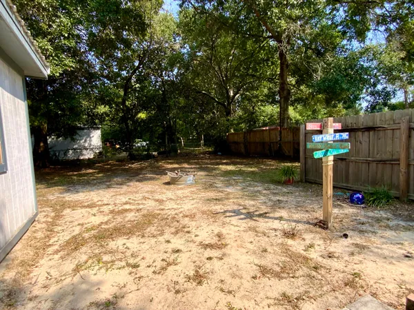 a view of a backyard with a tree