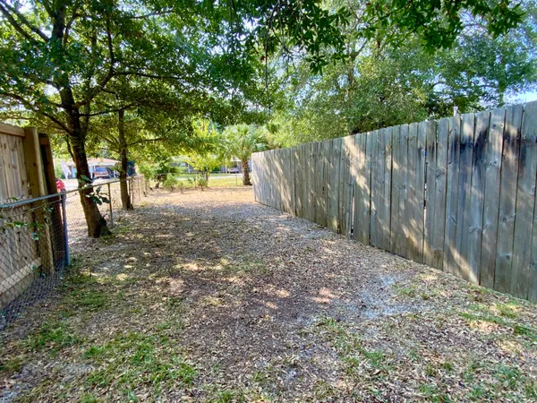 a view of backyard with tree