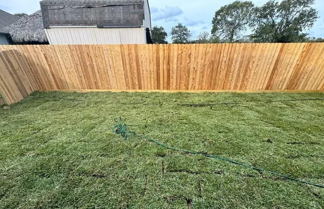 a view of backyard of house