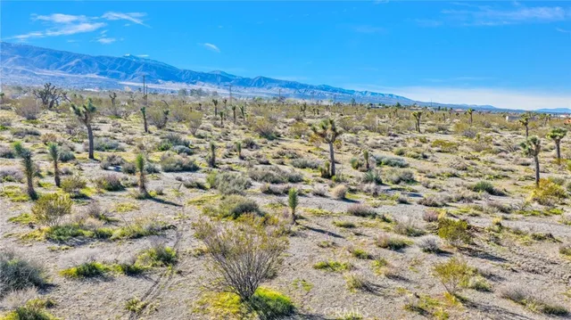 $80,000 | 11786 Buckwheat Road, Phelan, CA 92371