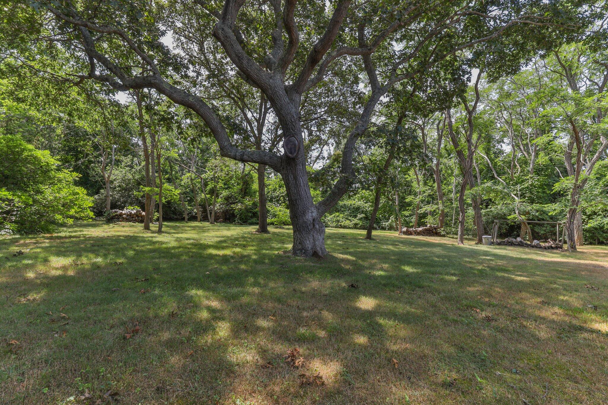 80 Gorman Road Eastham, MA 02642 - Photo 38 of 46 46-web-or-mls-80-gorman-rd
