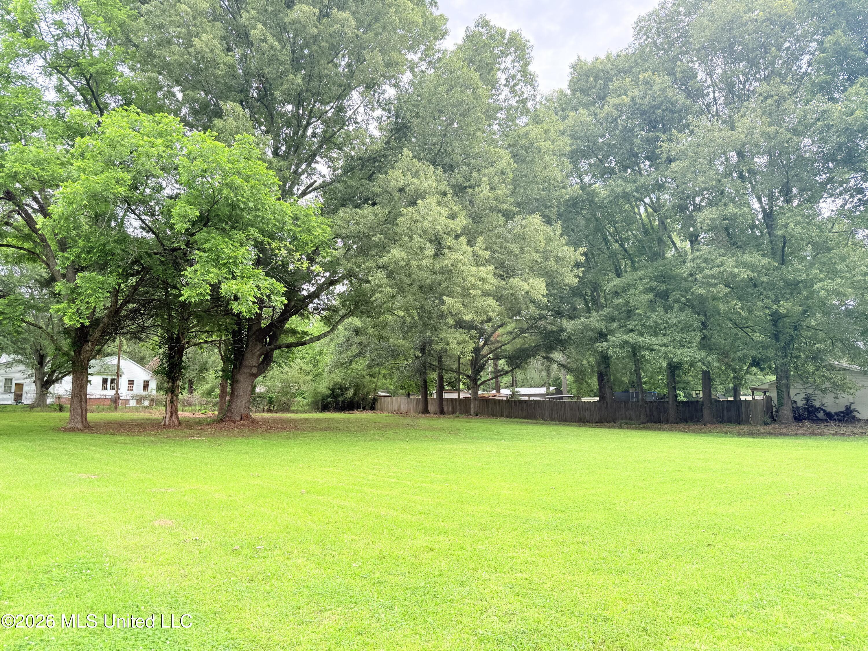 Northwest 4th Street Flora, MS 39071 - Photo 2 of 8 IMG_4986