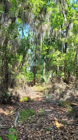 a view of a yard with a house in the background