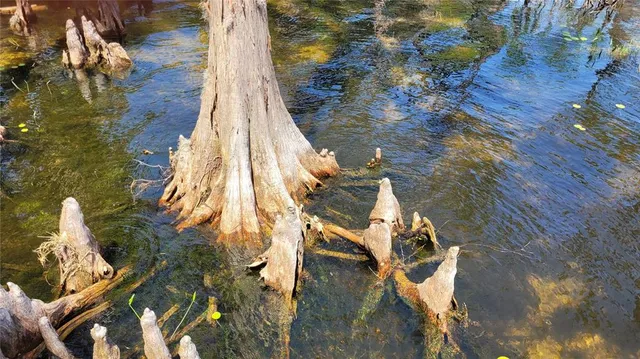 $750,000 | 21779 Northeast 115th Avenue, Waldo, FL 32694