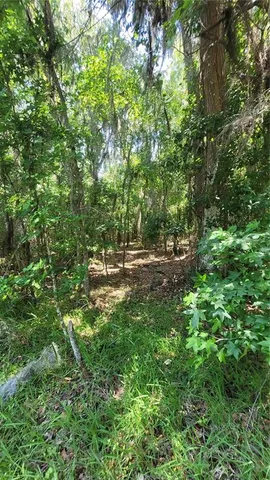 a view of outdoor space and yard