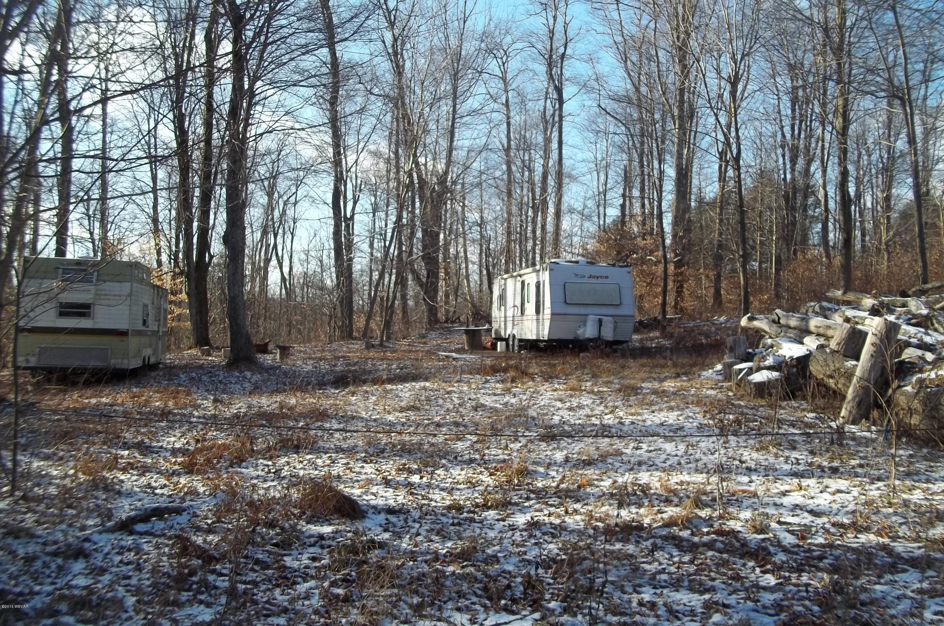 1305 Dry Run Road Shunk, PA 17768 - Photo 2 of 6 100_3286