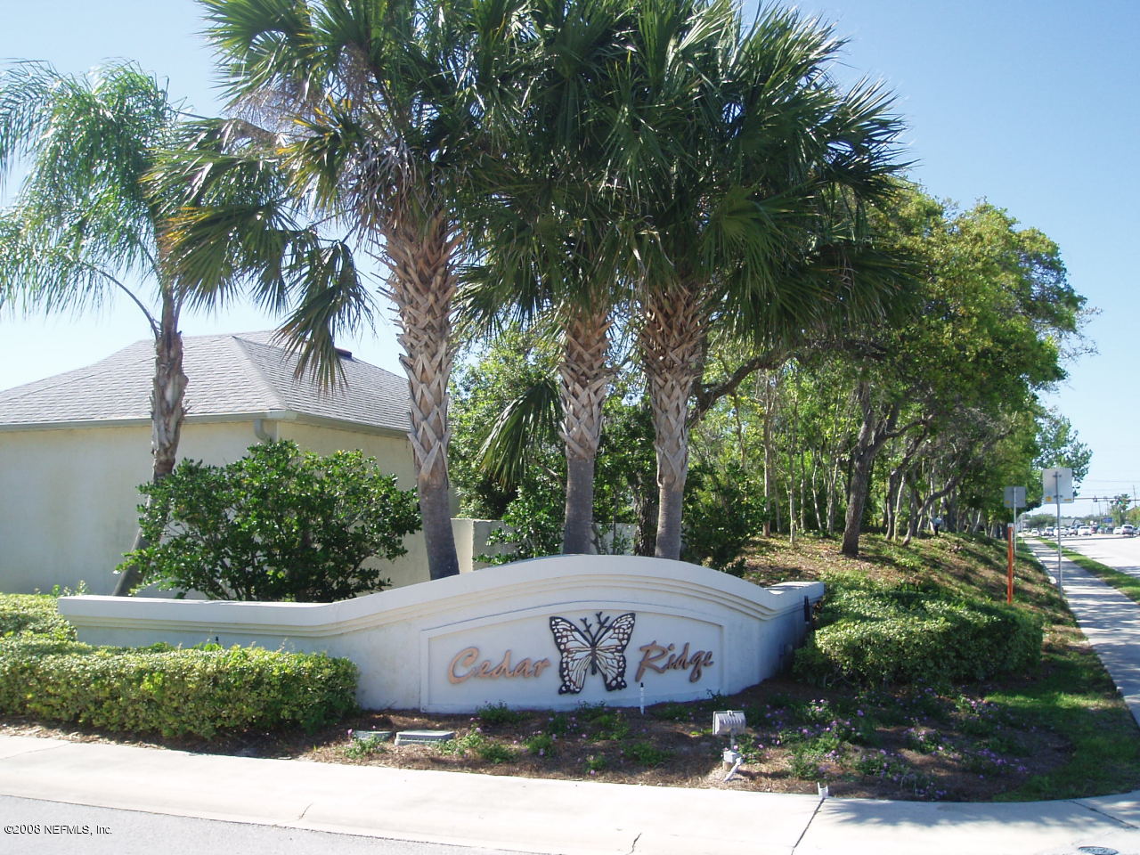 169 Cedar Ridge Circle St. Augustine, FL 32080 - Photo 5 of 5 a view of a swimming pool with a yard