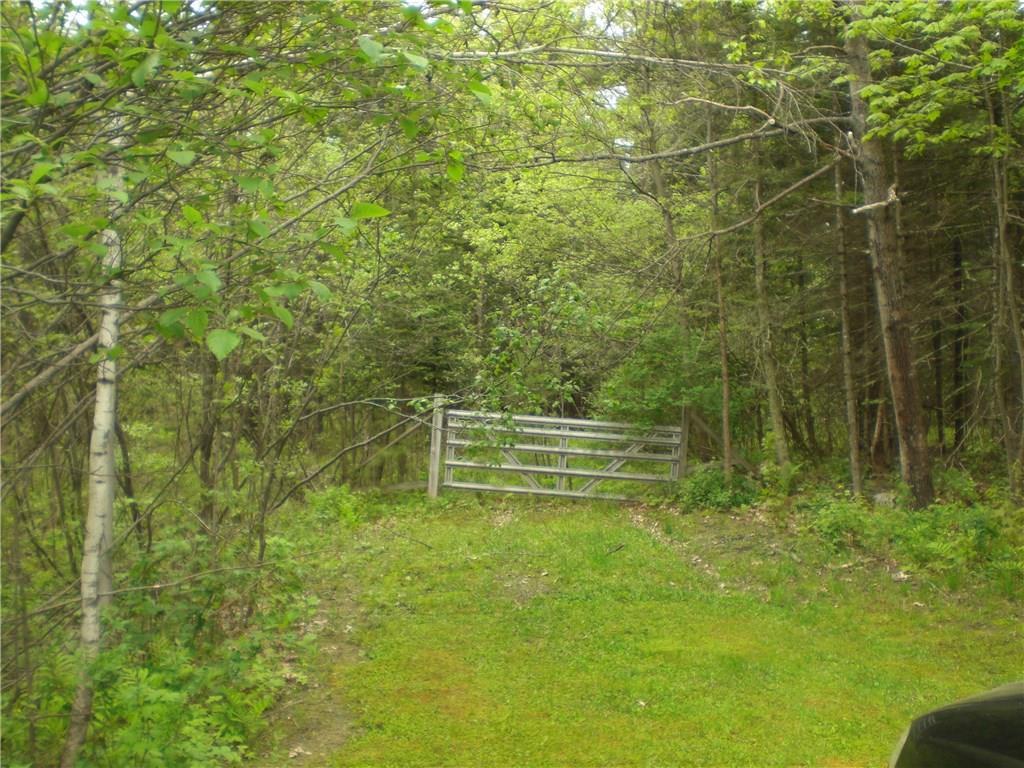 0 Johnson Flat Road Burnham, ME 04922 - Photo 1 of 6 Photo