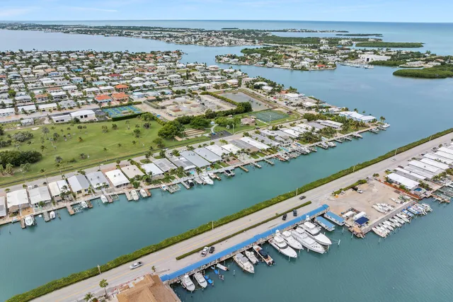 a view of a lake with boats and palm trees