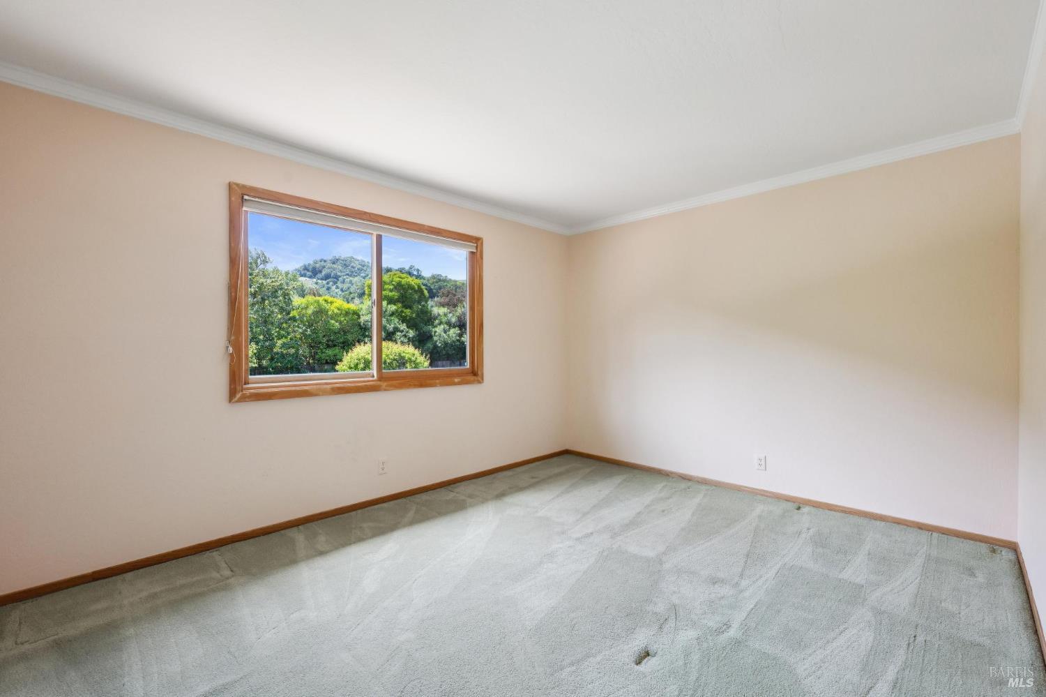 58 Mt Muir Court San Rafael, CA 94903 - Photo 57 of 80