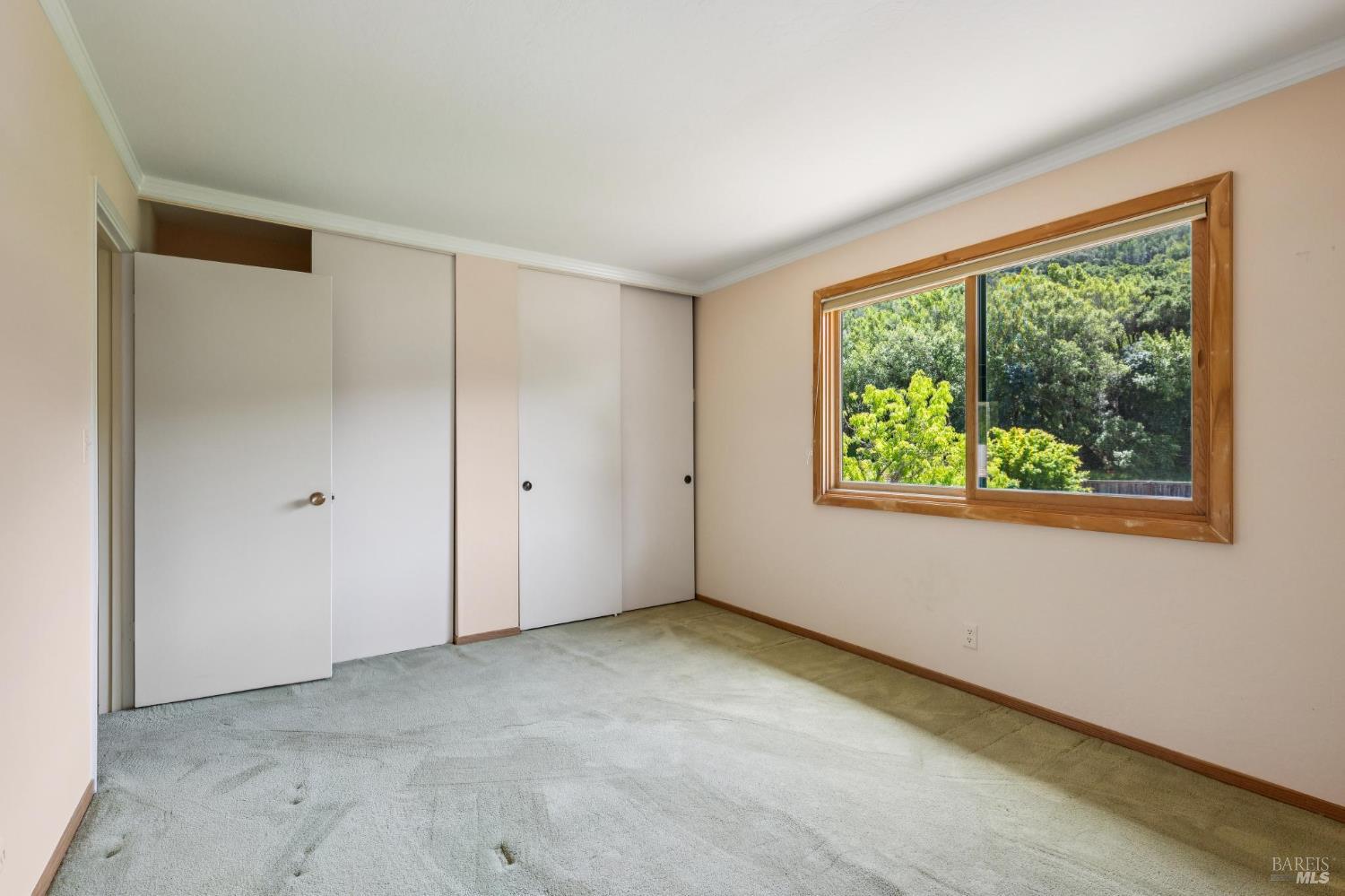 58 Mt Muir Court San Rafael, CA 94903 - Photo 59 of 80