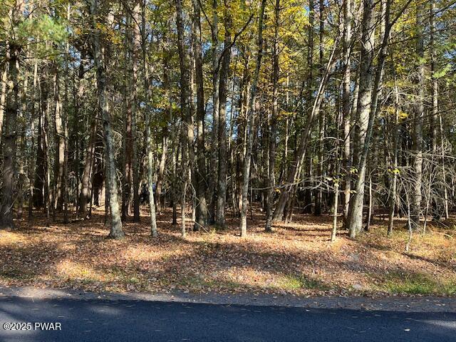 Lot 36 Fox Road Bushkill, PA 18324 - Photo 6 of 10