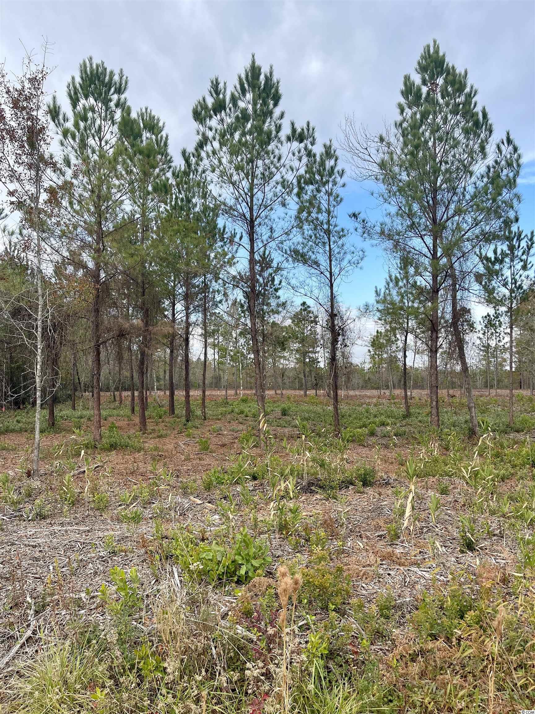 Lot 1-and Lot 1-and Road Conway, SC 29526 - Photo 1 of 2 Gallery Image 1