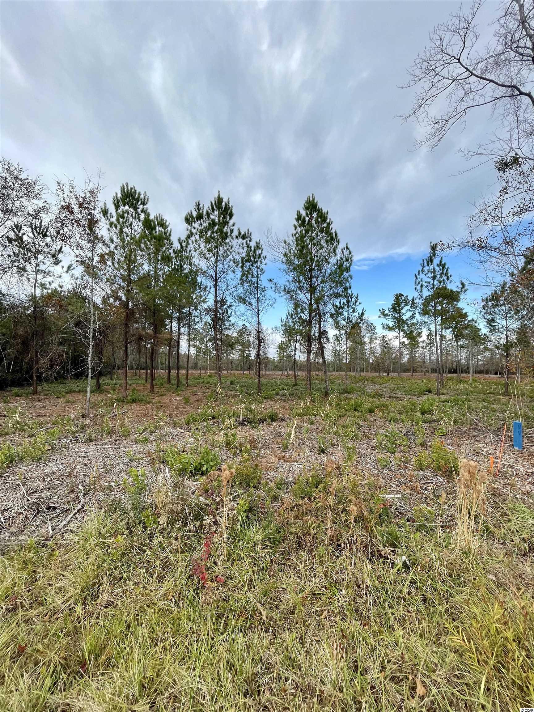 Lot 1-and Lot 1-and Road Conway, SC 29526 - Photo 2 of 2 Gallery Image 2