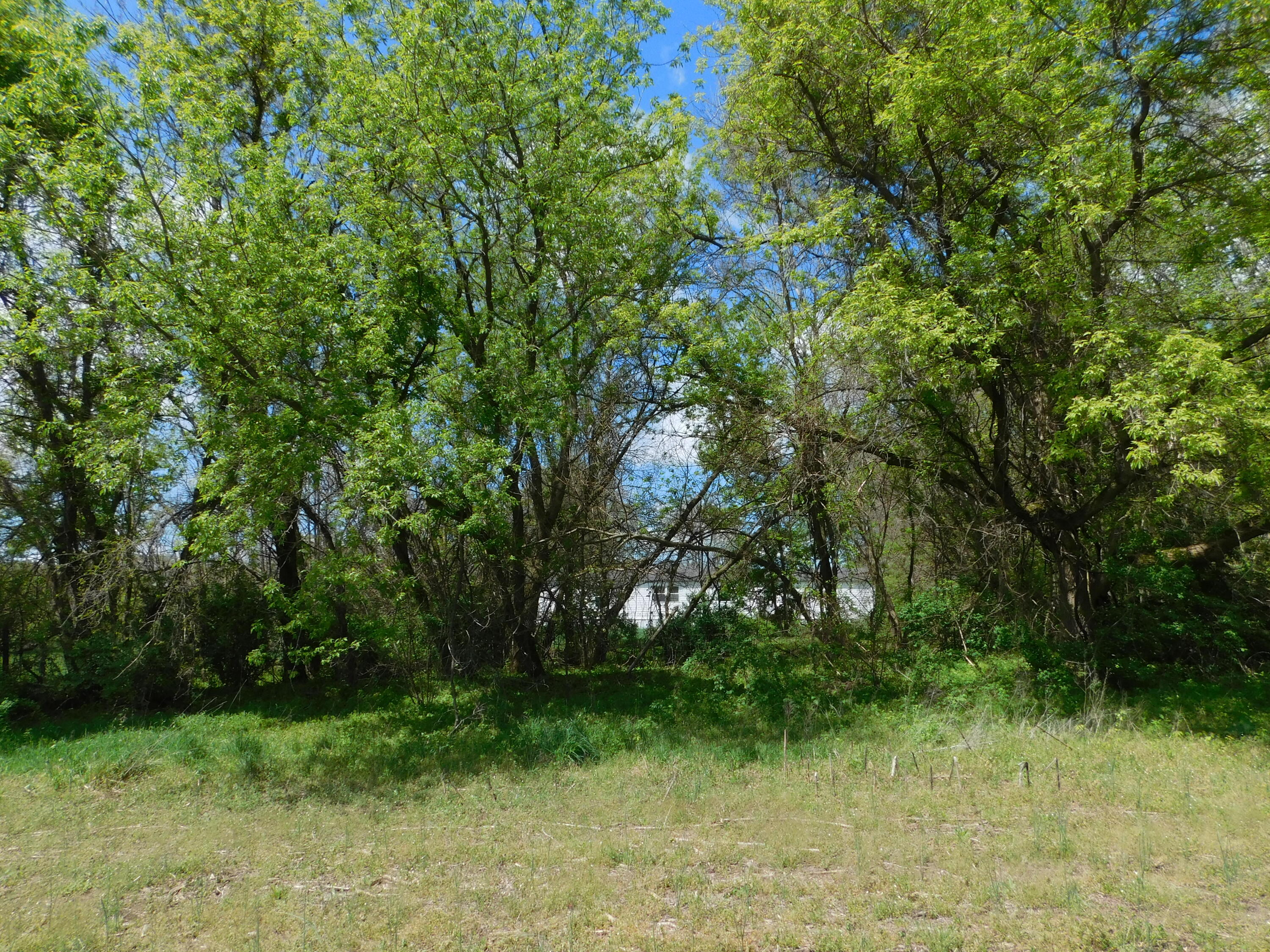 64277 Union Road Vandalia, MI 49095 - Photo 22 of 27 DSCN8600