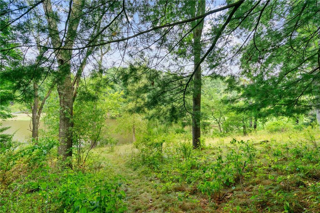 715 Old Mill Road Pittsburgh, PA 15238 - Photo 44 of 46 Wooded landscape leading to the lake.