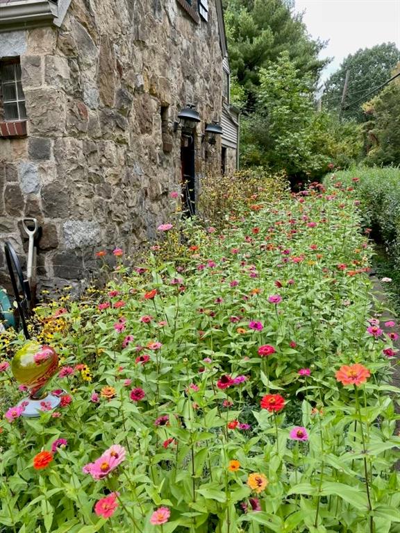 715 Old Mill Road Pittsburgh, PA 15238 - Photo 5 of 46 More flowers in bloom!