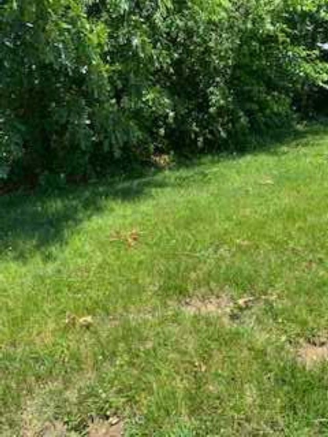 965 Frederick Road Harrisonburg, VA 22801 - Photo 1 of 1 Gallery Image 1