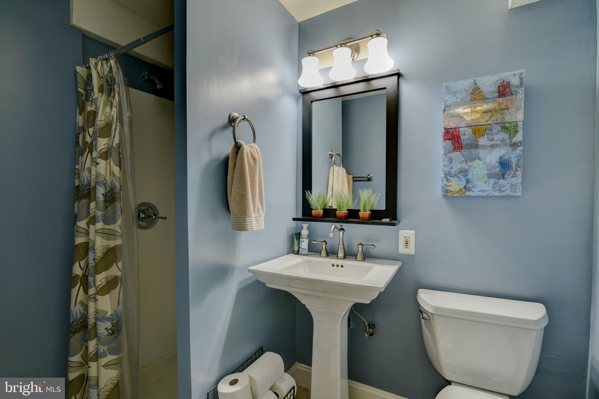 1911 Wintergreen Court Reston, VA 20191 - Photo 43 of 56 Gallery Image 43