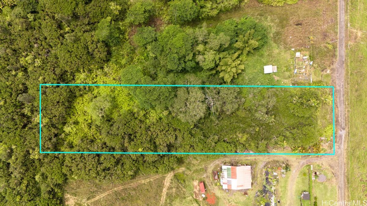 Lot 89 Huina Rd Mountain View Mountain View, HI 96771 - Photo 2 of 17