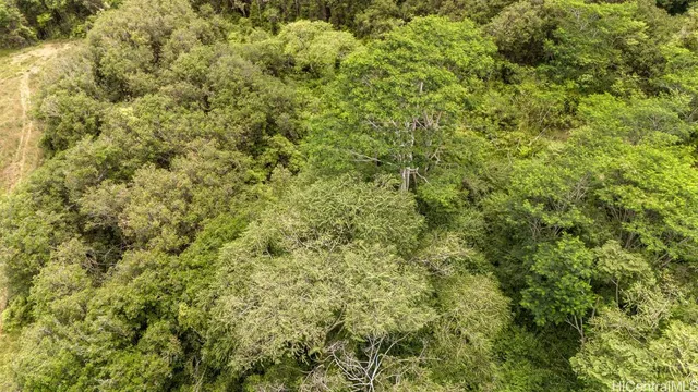 a view of a large yard with lots of bushes