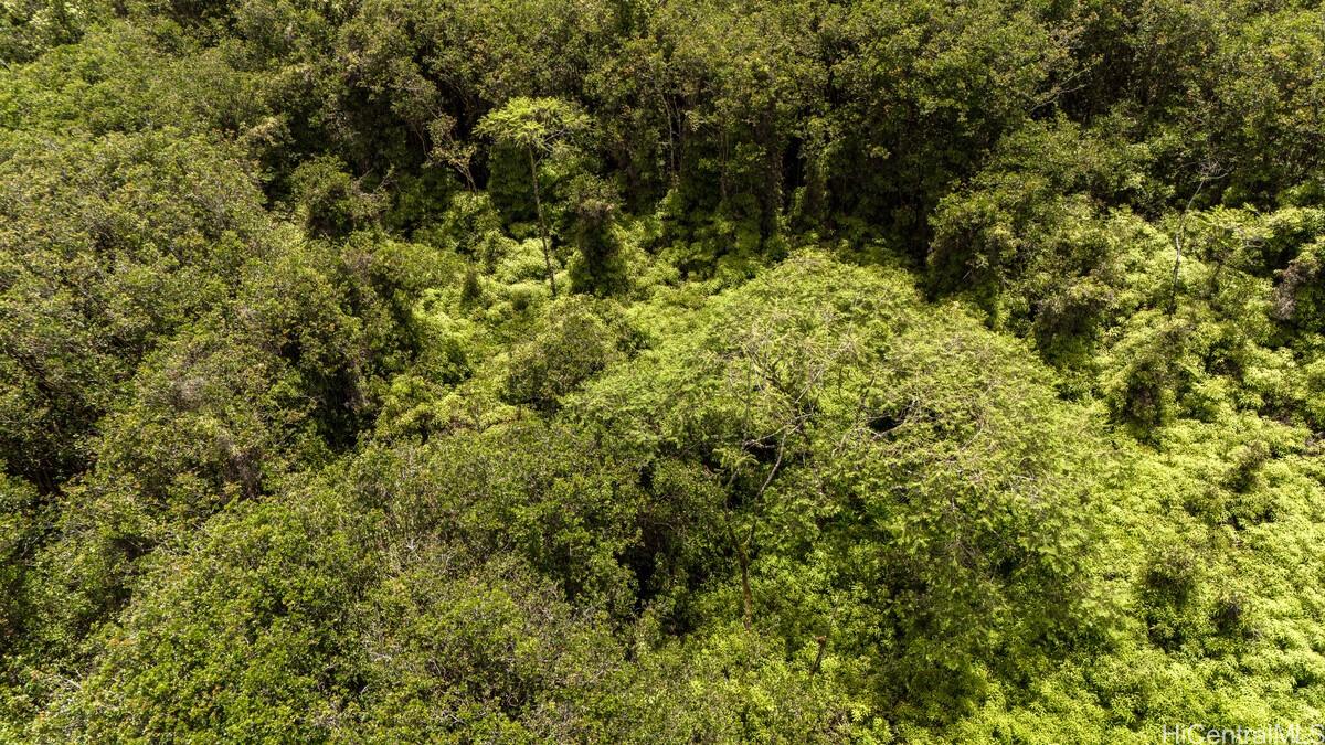 Lot 89 Huina Rd Mountain View Mountain View, HI 96771 - Photo 10 of 17 a view of a yard