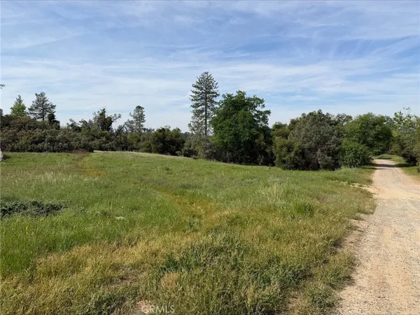 a view of a field with an ocean view