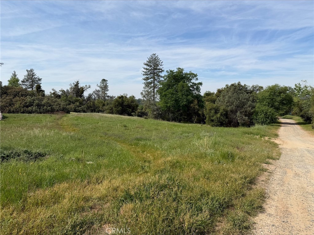 5-acres Mountain Springs Road North Fork, CA 93643 - Photo 2 of 8 a view of a field with an ocean view