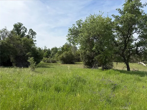a view of field with trees in the background