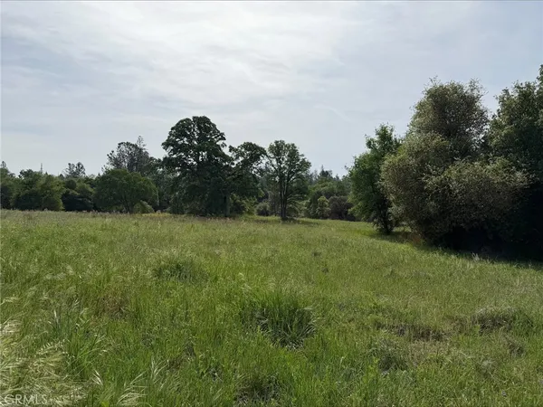 a view of a green field
