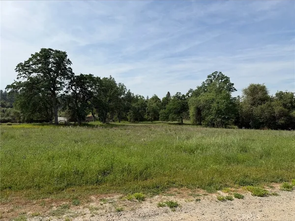 a view of a field of grass and trees
