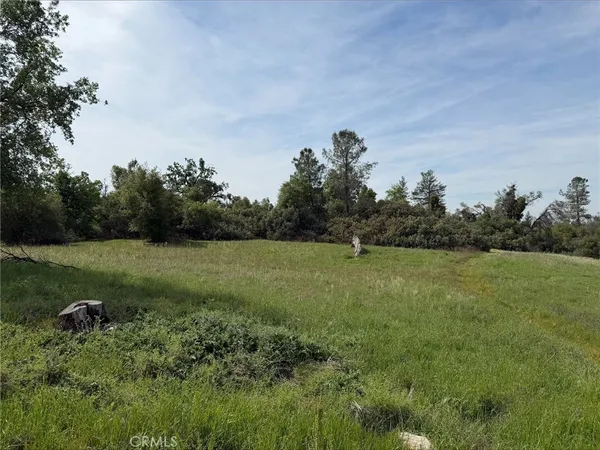 a view of a green field with wooden fence