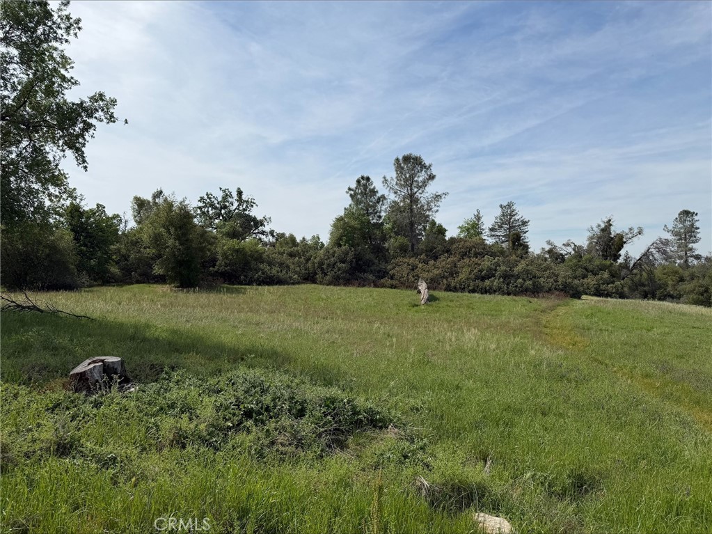5-acres Mountain Springs Road North Fork, CA 93643 - Photo 6 of 8 a view of a green field with wooden fence