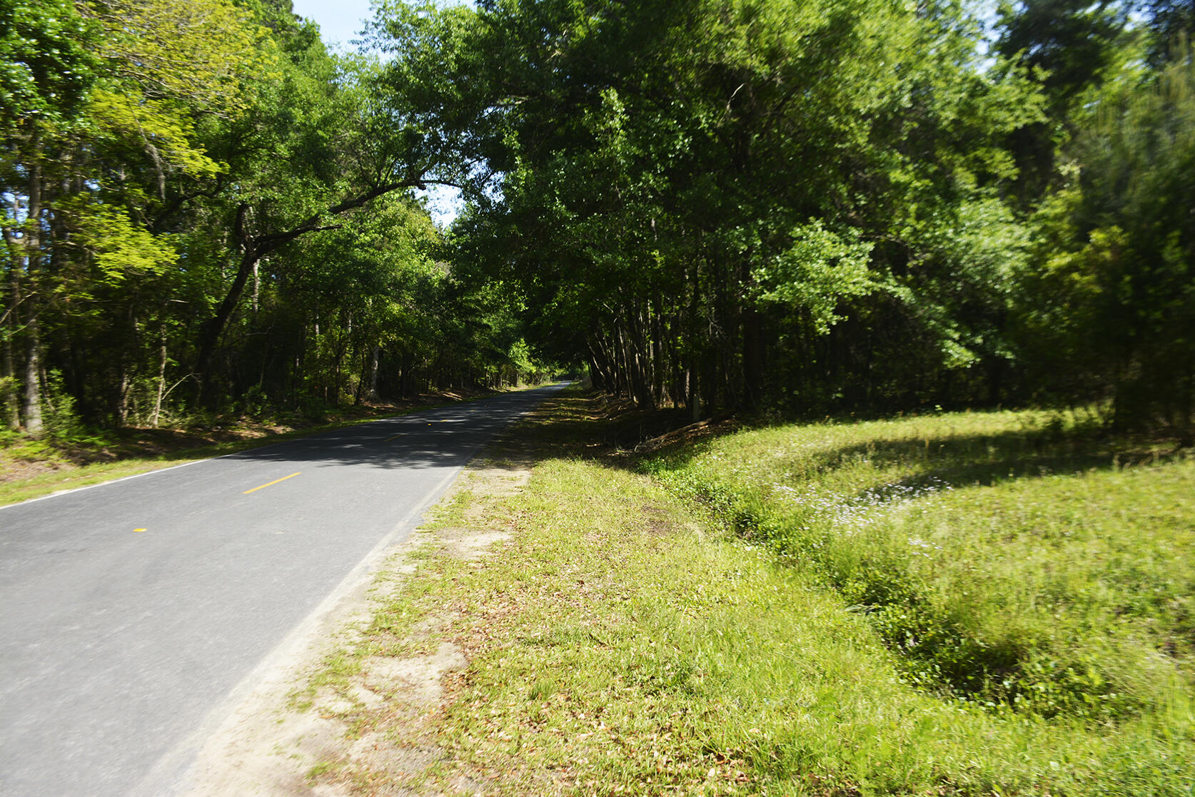 0 Red House Road, Unit LOT 1 Edisto Island, SC 29438 - Photo 1 of 7 _DSC7358