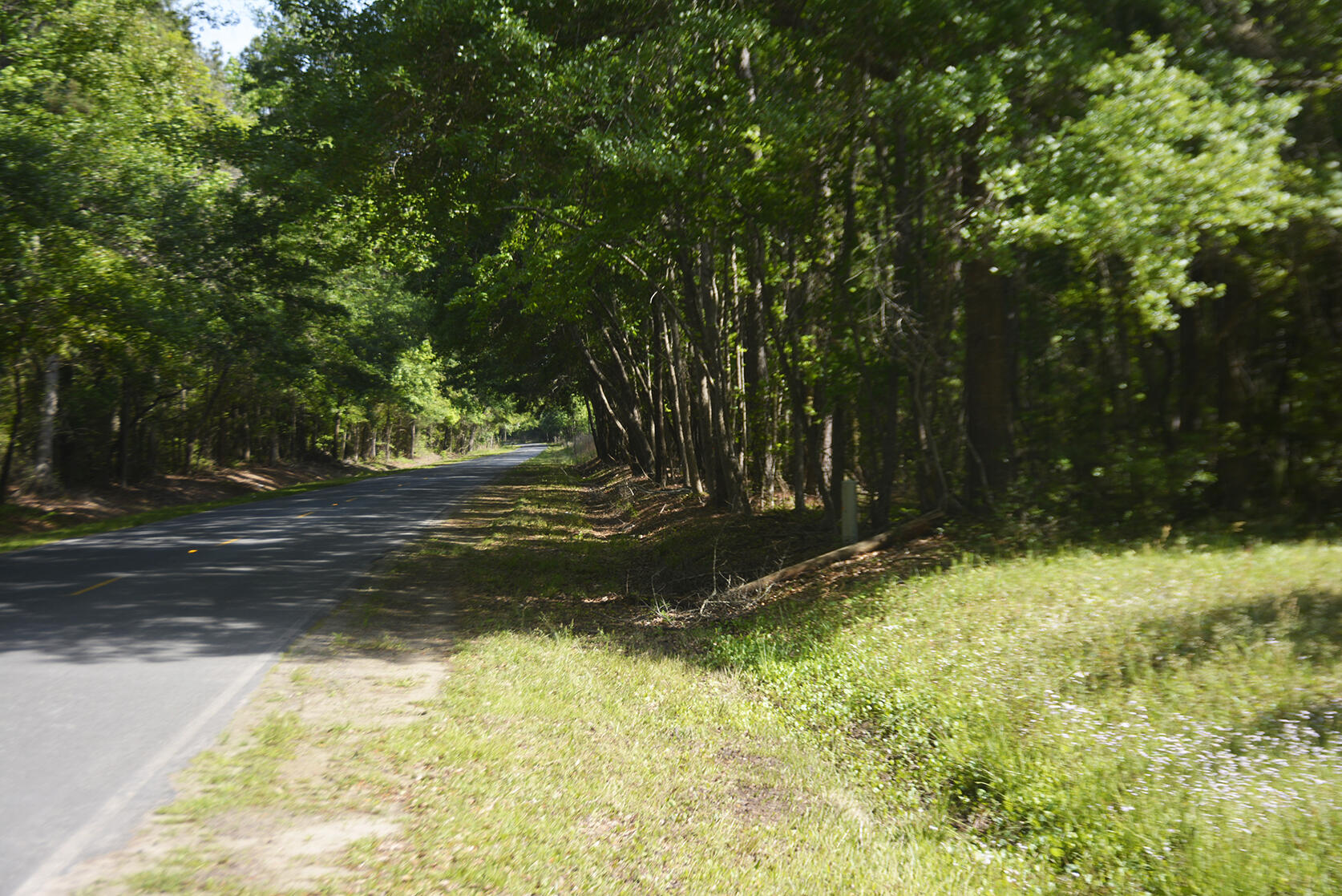 0 Red House Road, Unit LOT 1 Edisto Island, SC 29438 - Photo 2 of 7 _DSC7359