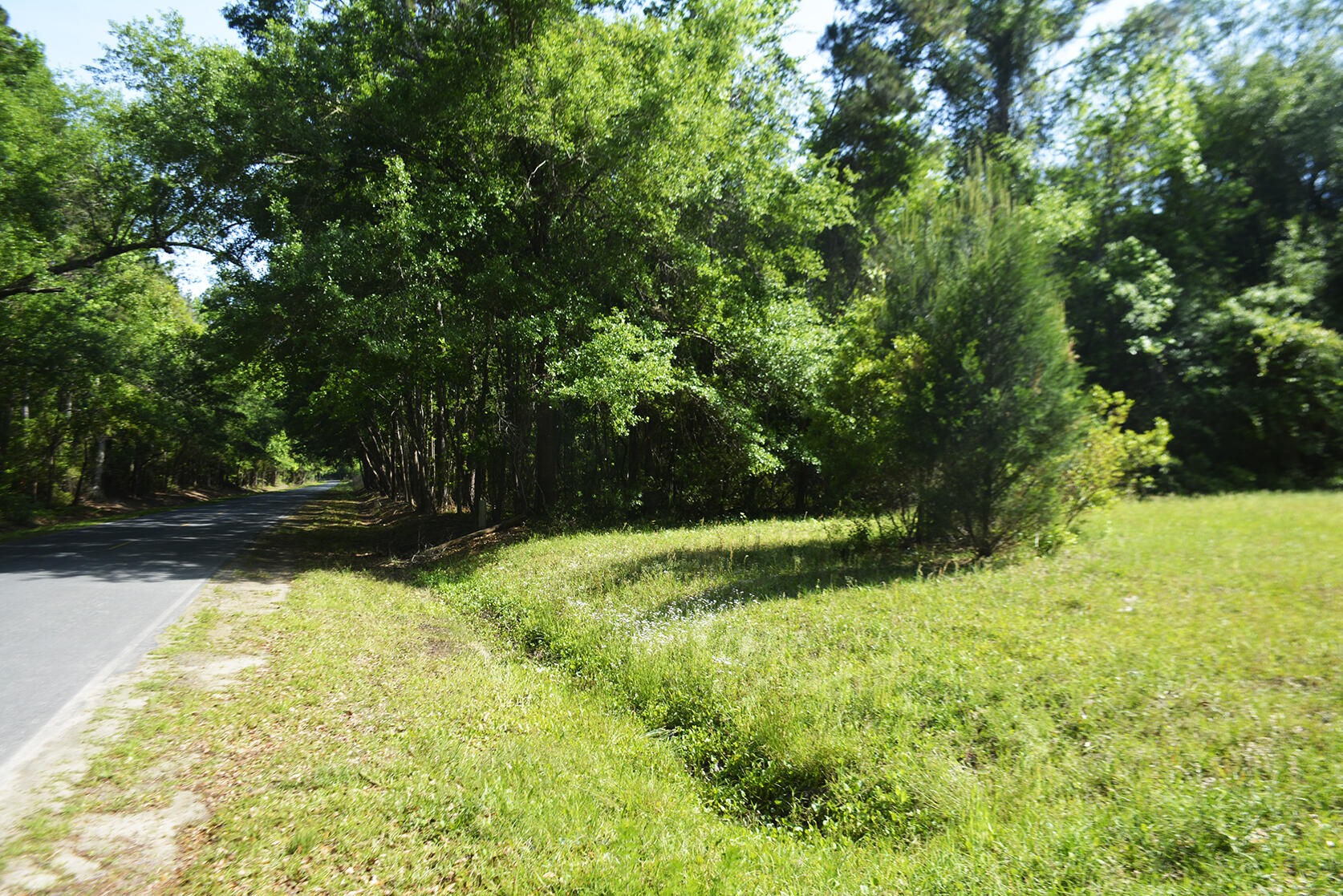 0 Red House Road, Unit LOT 1 Edisto Island, SC 29438 - Photo 3 of 7 _DSC7360