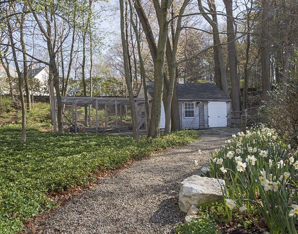 61 Sandy Pond Road Lincoln, MA 01773 - Photo 22 of 28 a backyard of a house with lots of green space