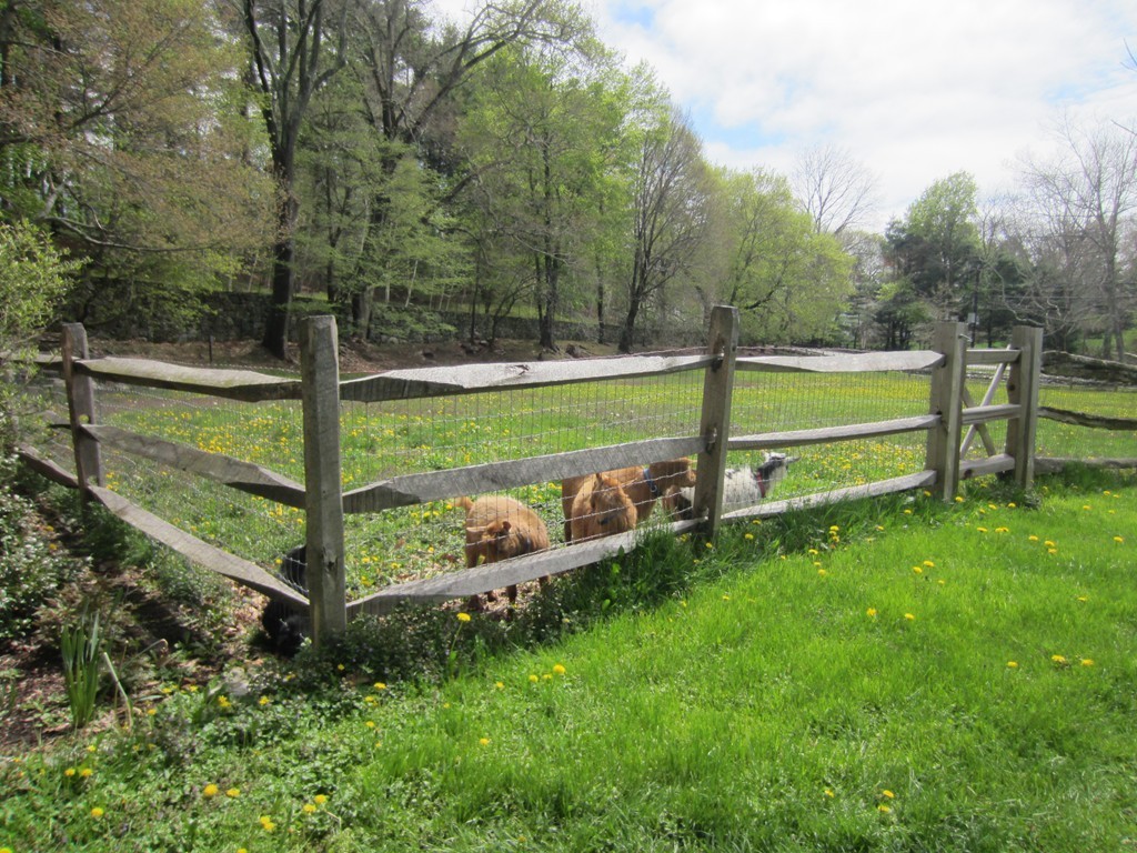 61 Sandy Pond Road Lincoln, MA 01773 - Photo 23 of 28 a view of a park with large trees