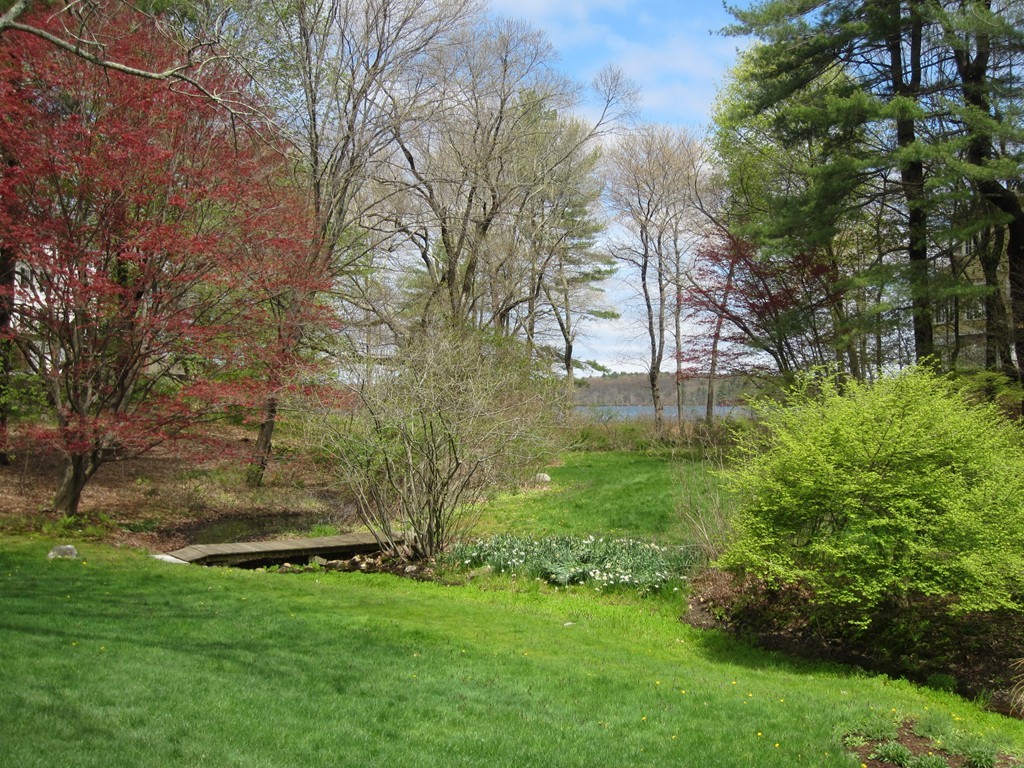 61 Sandy Pond Road Lincoln, MA 01773 - Photo 26 of 28 a view of a backyard with large trees