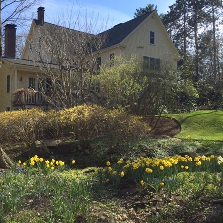 61 Sandy Pond Road Lincoln, MA 01773 - Photo 7 of 28 a view of a house with a yard