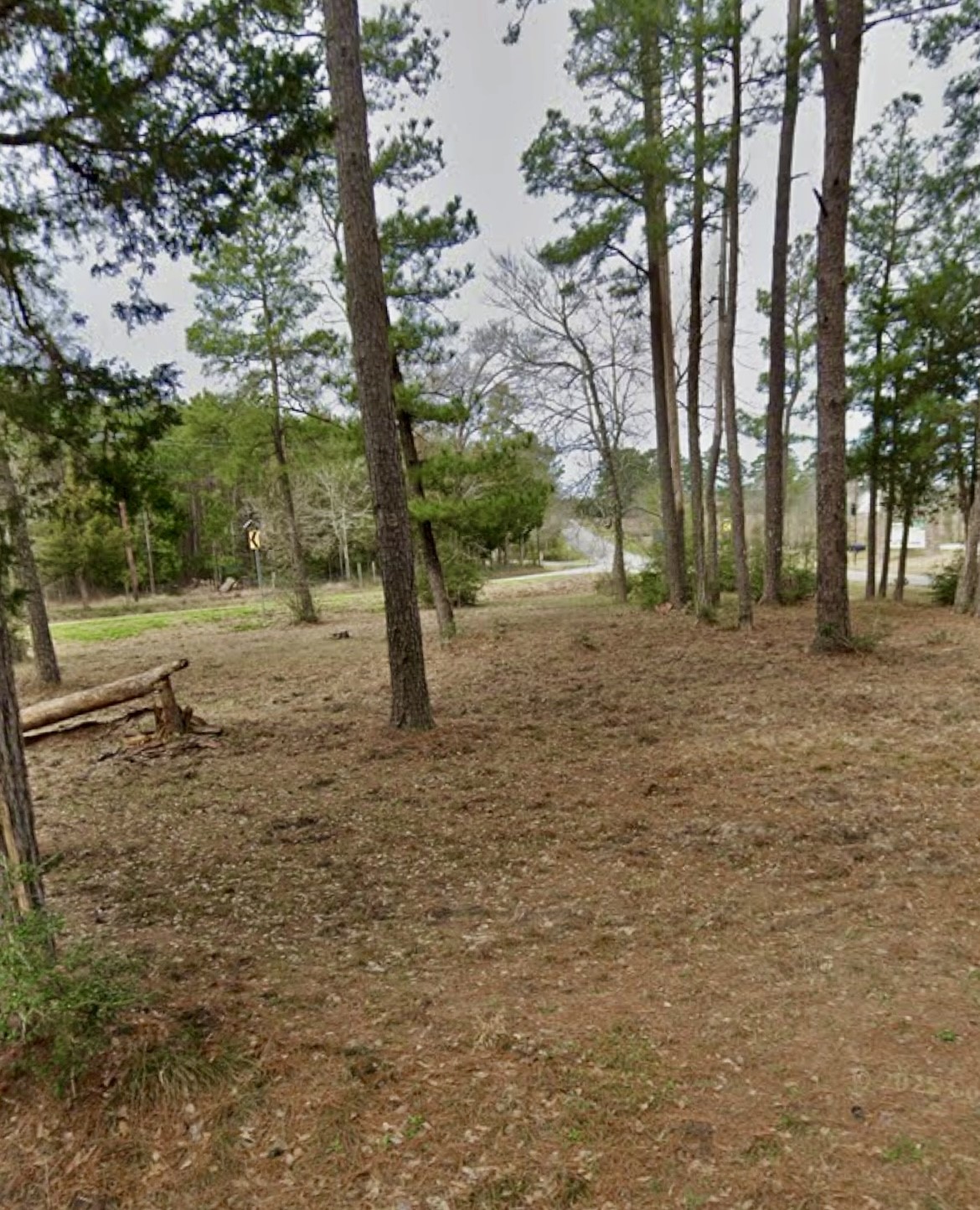 0 Grissom Road Richards, TX 77873 - Photo 4 of 6