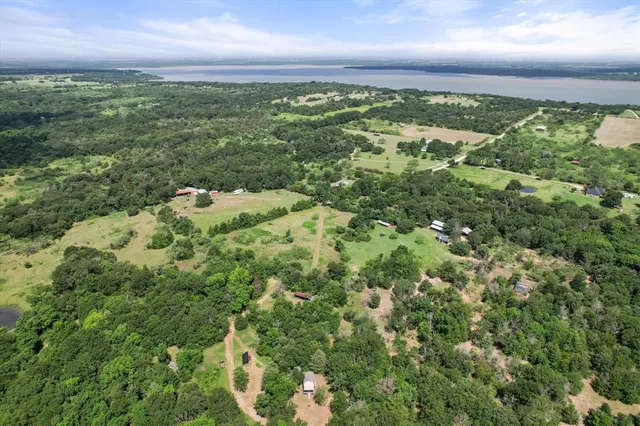a view of a yard with an plants
