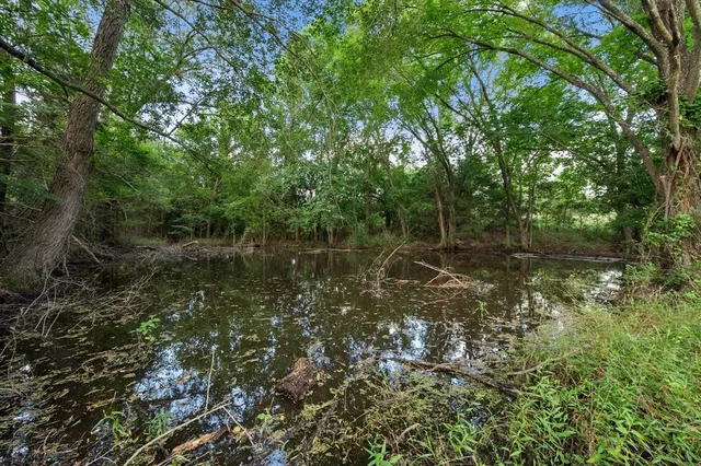 a view of a lake with a forest