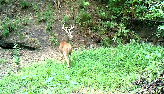 a backyard of a house
