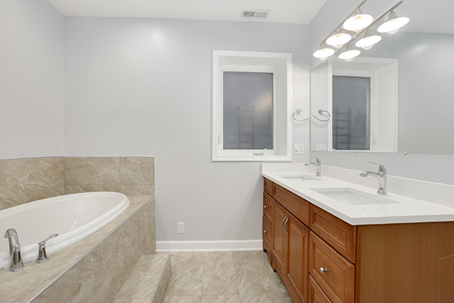 1731 South Ruble Street, Unit 1 Chicago, IL 60616 - Photo 18 of 25 a bathroom with a bathtub sink and mirror