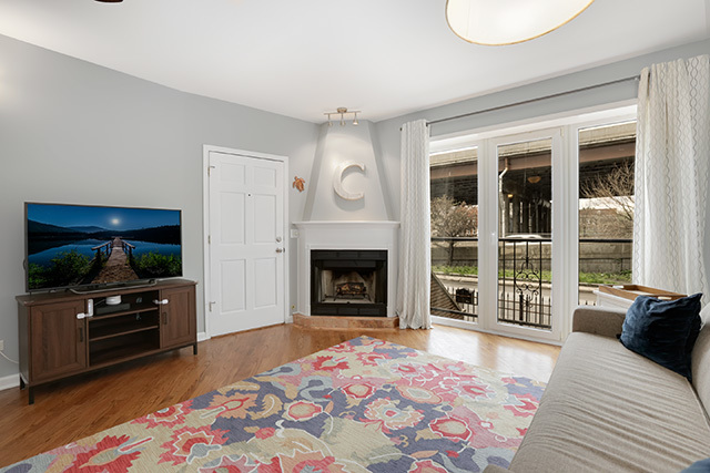 1731 South Ruble Street, Unit 1 Chicago, IL 60616 - Photo 3 of 25 a living room with fireplace furniture and a flat screen tv